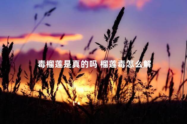 毒榴莲是真的吗 榴莲毒怎么解